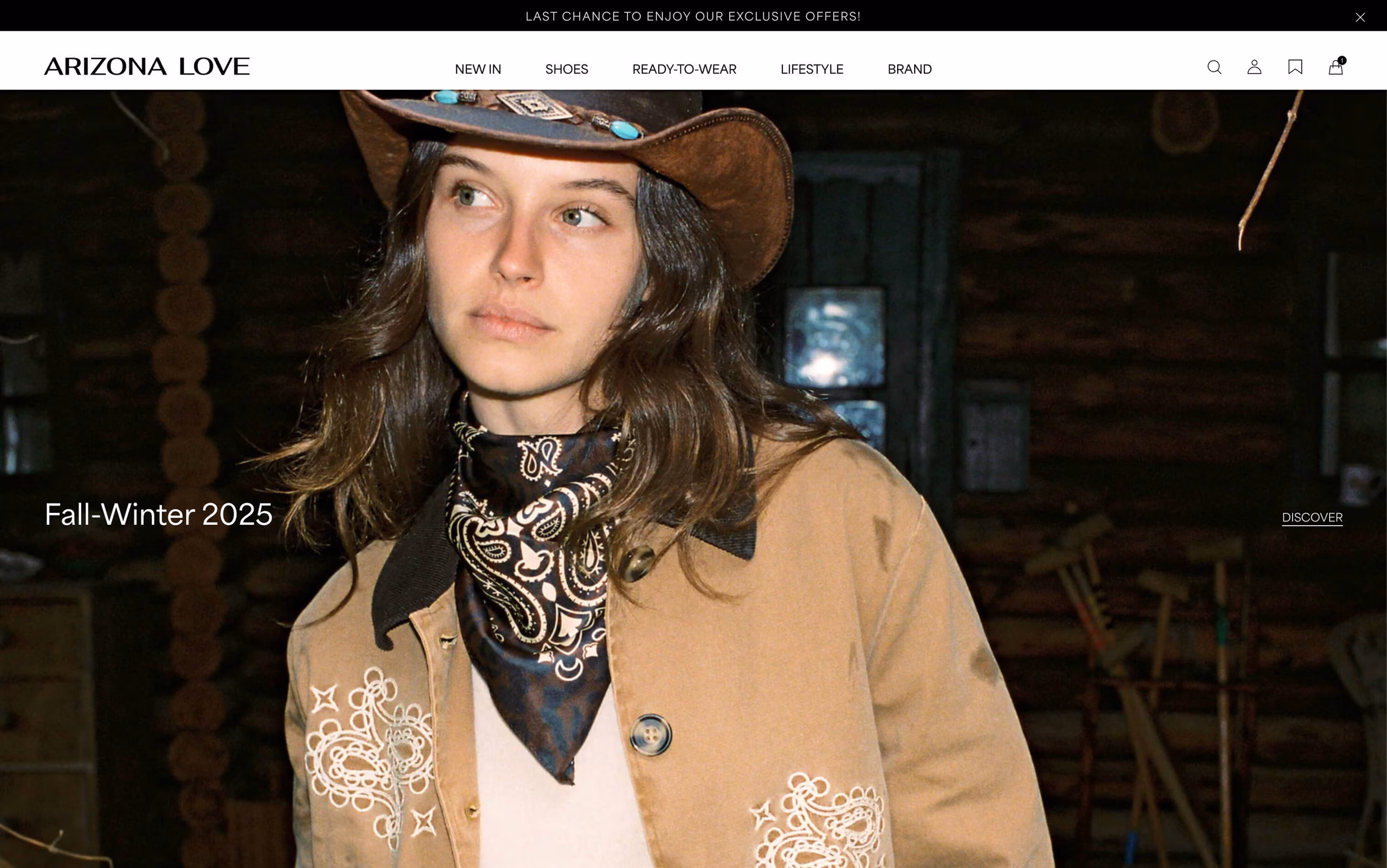 site E-commerce Shopify Arizona Love