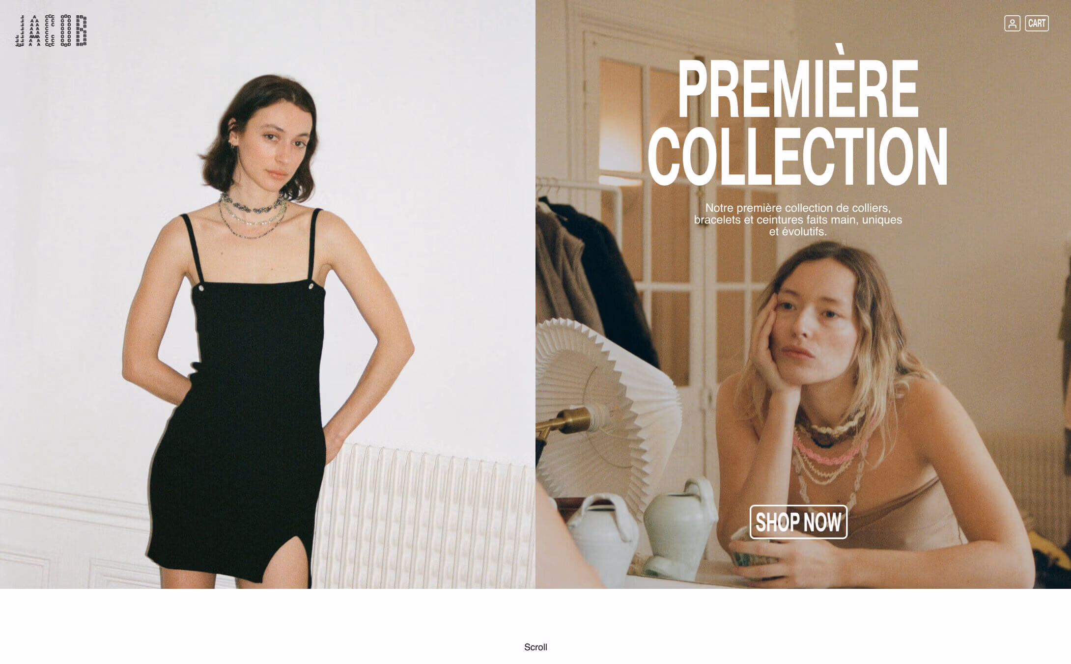 site E-commerce Shopify Jacob